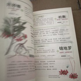 本草纲目：彩色图鉴