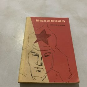 钢铁是怎样炼成的（自然旧）