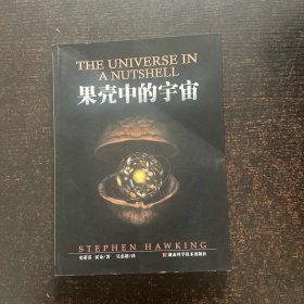果壳中的宇宙