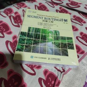 SegmentRouting详解第二卷流量工程(全新未拆封)