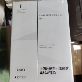 中国的新型非正规经济：实践与理论（实践社会科学与中国研究·卷三）