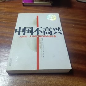 中国不高兴：大时代大目标及我们的内忧外患