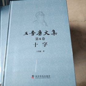 王晋康文集 第六卷 十字