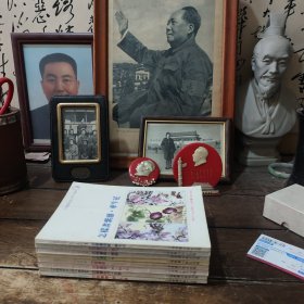 中国书技法入门，丛书（1.2.3.4.5.6.7.8）