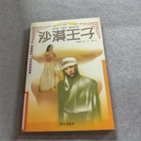 沙漠王子