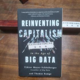 Reinventing Capitalism in the Age of Big Data 数据资本时代(英文版)