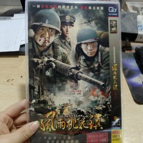 DVD 风雨桃花镇