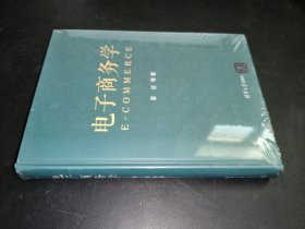电子商务学(精)