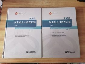 2020河北省人口普查年鉴 上下册