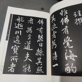 大唐栖岩寺故大禅师塔铭