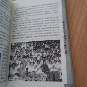 毛泽东生活档案（全三册）