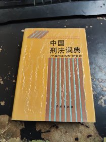 中国刑法词典