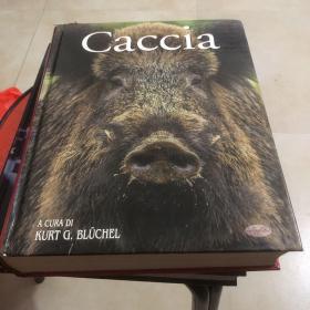 Caccia（狩猎）西方狩猎史（相当于）