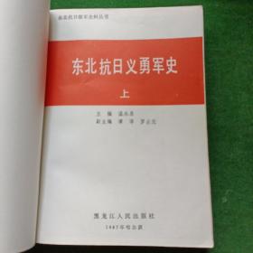 东北抗日义勇军史 上下