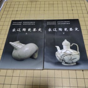 宋辽陶瓷鉴定（上下）