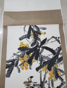 枇杷---广东潮汕画家--王楚丰--画心52X103cm，本店所有东西保真