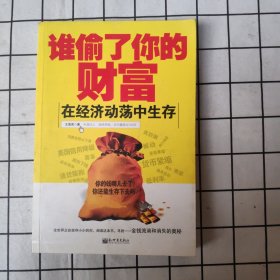 谁偷了你的财富：在经济动荡中生存