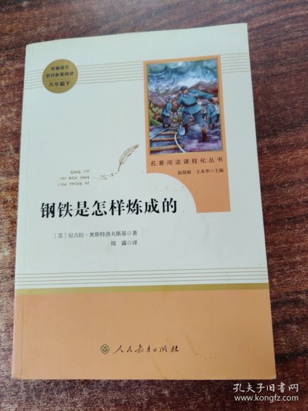 统编语文教材配套阅读 八年级下：钢铁是怎样炼成的/名著阅读课程化丛书