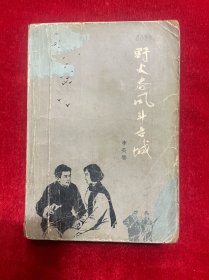 野火春风斗古城【二手旧书，看图下单】