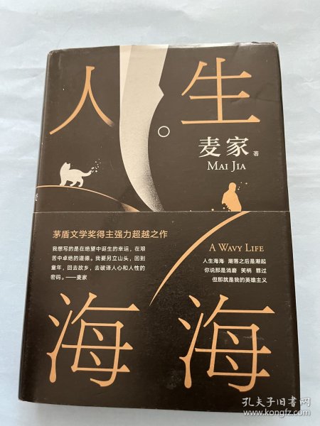 麦家：人生海海（茅盾文学奖得主麦家2019年强力之作）