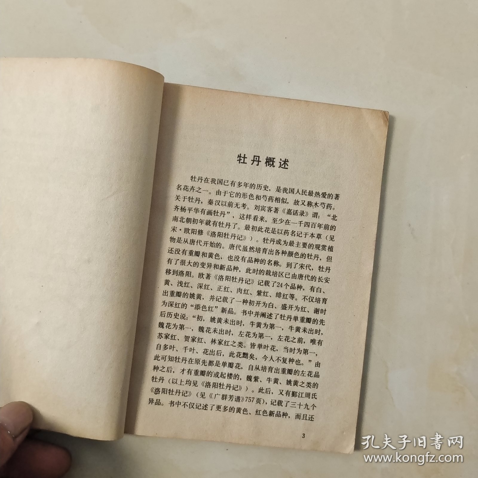 我怎样画工笔牡丹