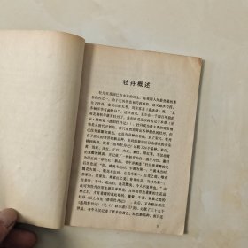我怎样画工笔牡丹