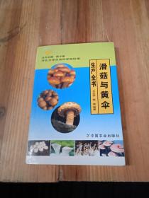 滑菇與黃傘生產(chǎn)全書(shū)