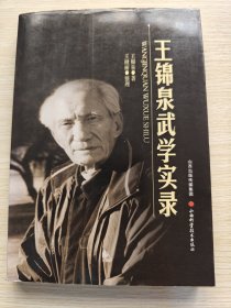 王锦泉武学实录