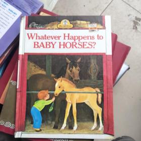 Whatever  Happens  to  BABY  HORSES?