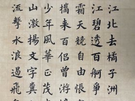 洪守东，1963年生,自幼喜爱书法,曾在中国书法家协会举办的临摹与创作班学习,考取中国书法家协会注册老师(中级)。师从吴克勤、江从武等,作品曾获全国文明杯书法比赛优胜奖