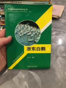 浙东白鹅