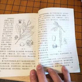 植物博士