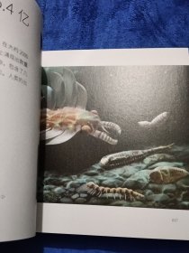 万物之间 金蝶云引力波 创作手记