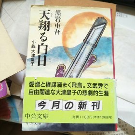 日文原版：天翔る白日  64开