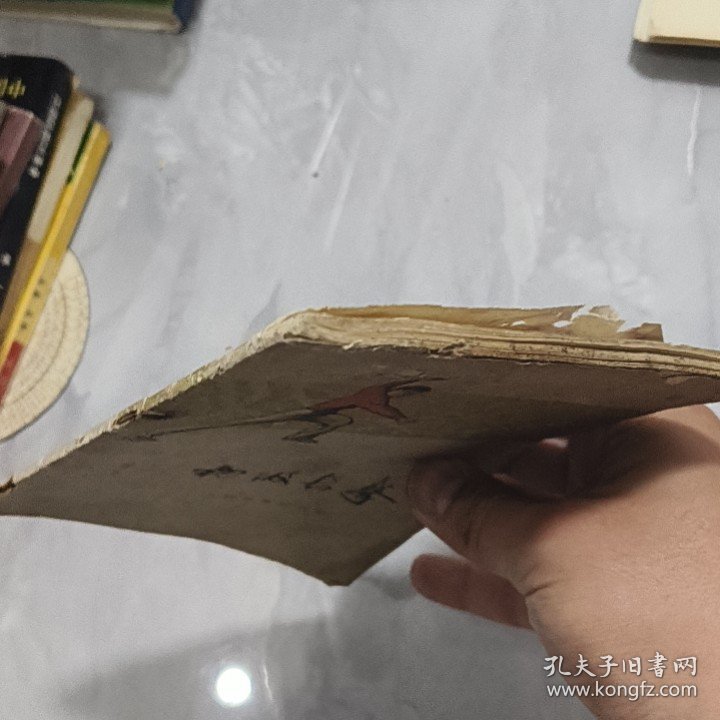 初级长拳