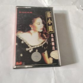 磁带 徐小凤名曲精选--有歌词，出版社是英文