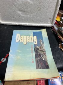 Da gang 滨海新城-大港 画册