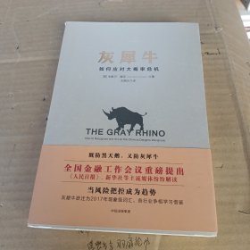 灰犀牛：如何应对大概率危机