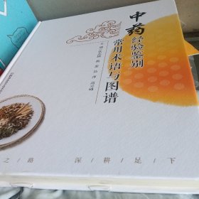 中药经验鉴别常用术语与图谱(正版库存书)