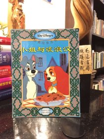 小姐与流浪汉