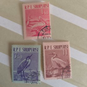 S303阿尔巴尼亚1961年 水鸟 鹈鹕 仙鹤等 盖销 3全 外国邮票 目录价7.5欧 如图