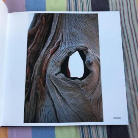 形行摄色 : 林奋强摄影作品集