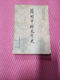 简明中国文学史 （北京师范大学出版社）