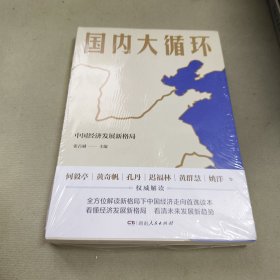 国内大循环