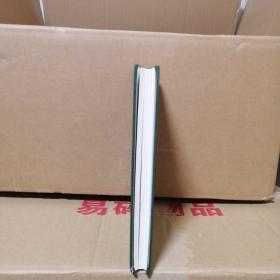 20世纪俄罗斯文学精品书系：第四十一（精装）