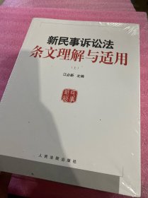 新民事诉讼法条文理解与适用（套装上下册）