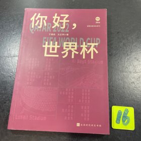 你好，世界杯