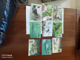 野生动物明信片 极限片 缺一张 现存9张 缺外套