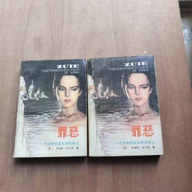 罪恶 上下