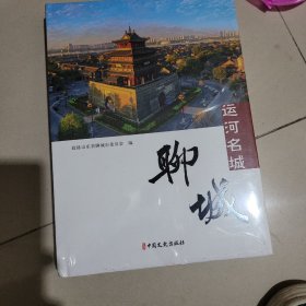 运河名城聊城
